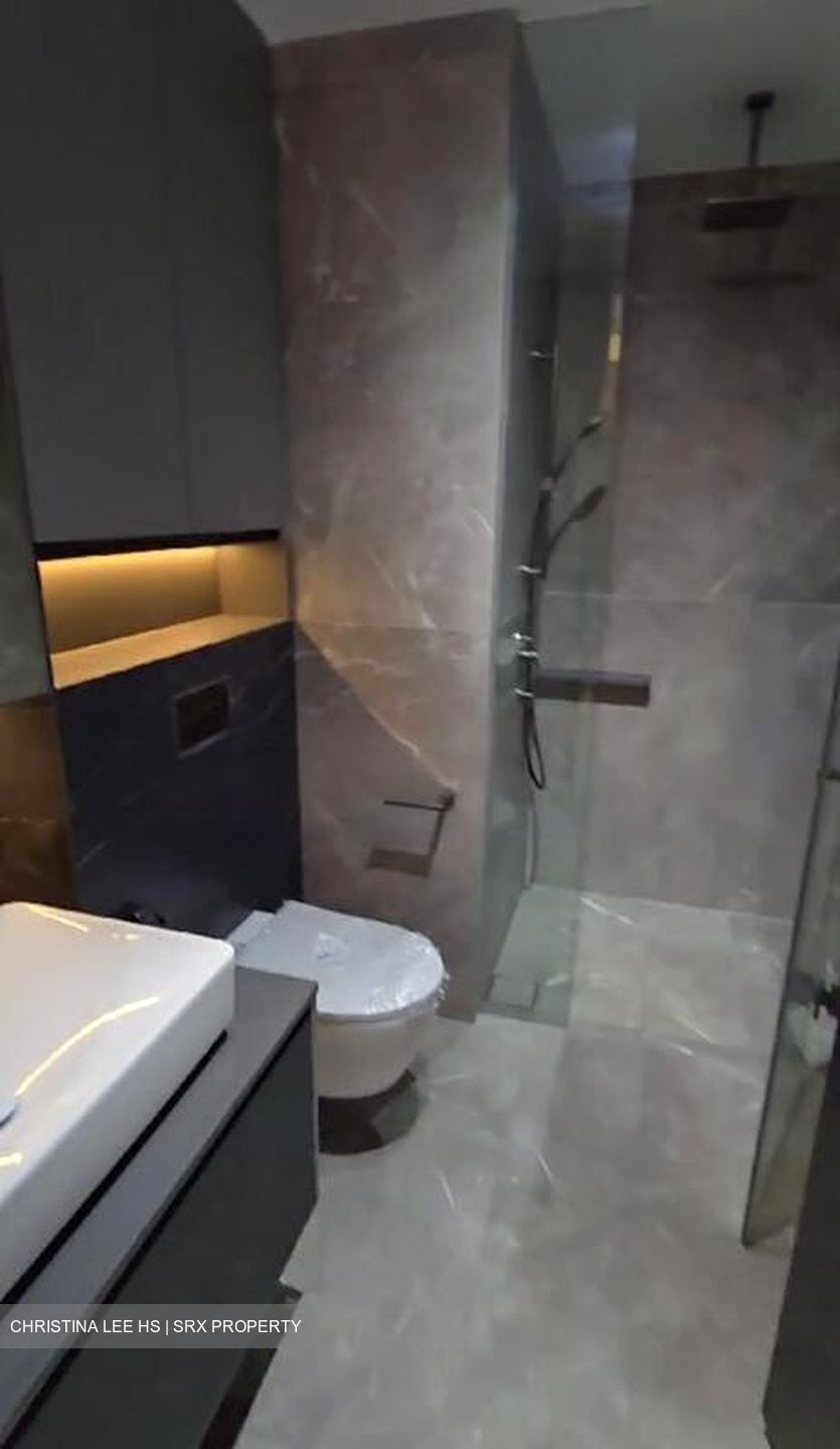 Irwell Hill Residences (D9), Apartment #486673691